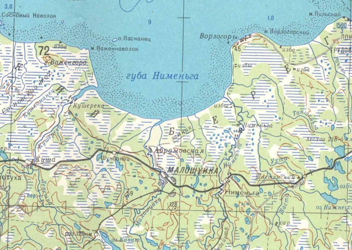 Карта онежского района подробная со спутника