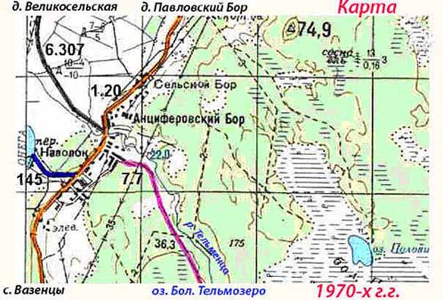 Карта онежского района подробная со спутника