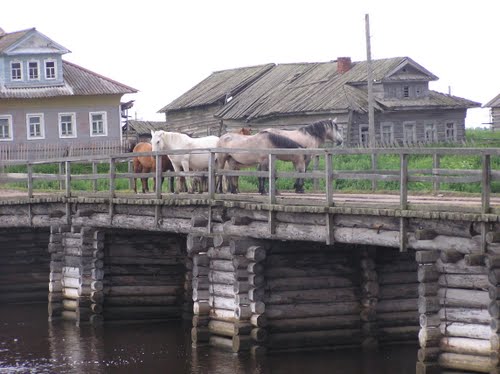 
�. ���� - ������� �����, ������������ ���������� �������������, ���������� �����, ������������� �������.
