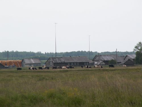 
�. ���� - ������� �����, ������������ ���������� �������������, ���������� �����, ������������� �������.
