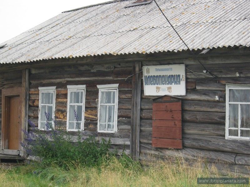 Рп5 луда архангельская область. Сютик Назаровского района. Деревня большой Сютик. Верхнеключевское Катайский район Курганская область. Село Верхнеключевское Катайского района.