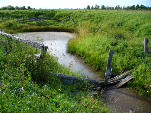 
�. ���� - ������� �����, ������������ ���������� �������������, ���������� �����, ������������� �������.
